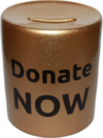 donate-now-piggy-bank
